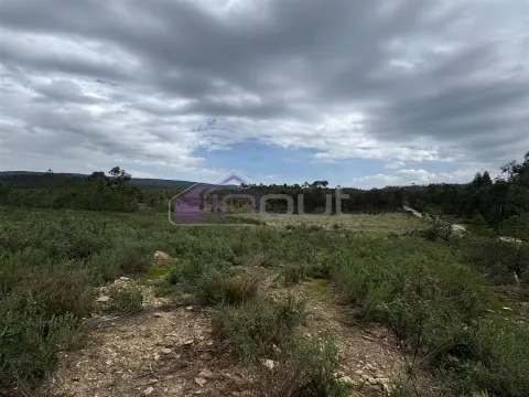 Terreno Rústico com 828m² em Marmelal – Natureza e Tranquilidade