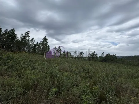 Terreno Rústico com 828m² em Marmelal – Natureza e Tranquilidade