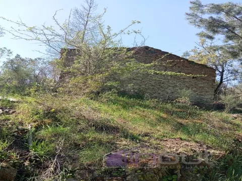 Quinta T2