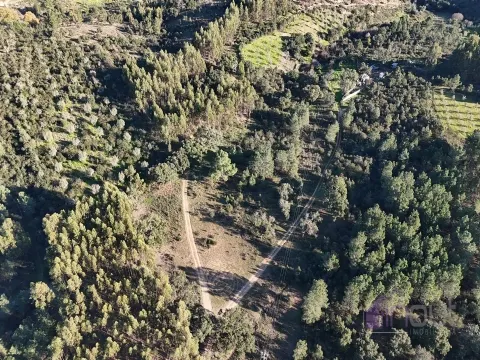 Terreno Rústico, com Sobreiros e Terra Arvense à Venda 25.000€