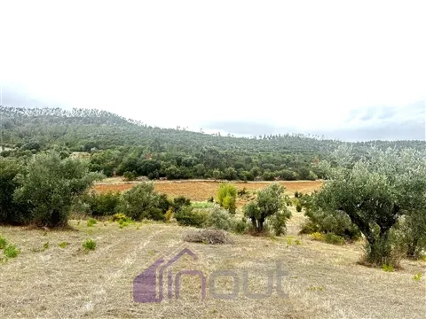 img_30