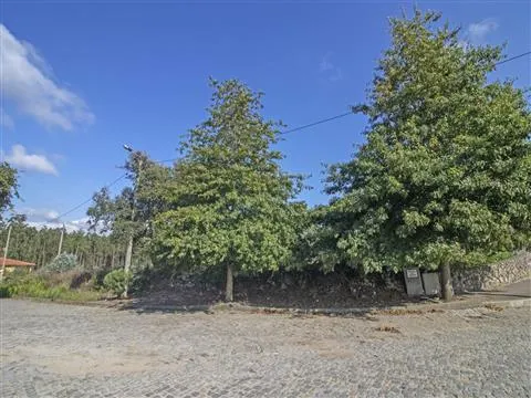 Terreno per Costruzione