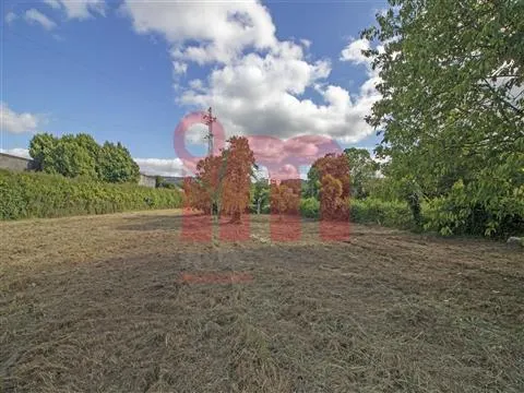 TERRENO NO CENTRO DE VILA DAS AVES