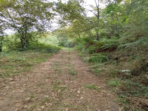 🏡 Terreno para Construção de Moradia Individual – 688 m² | Santa Lucrécia de Algeriz, Braga