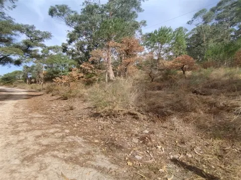 Terreno per Costruzione