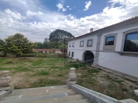 🏡 Quinta Histórica de 1937 com 8.000 m² – Palmeira, Braga