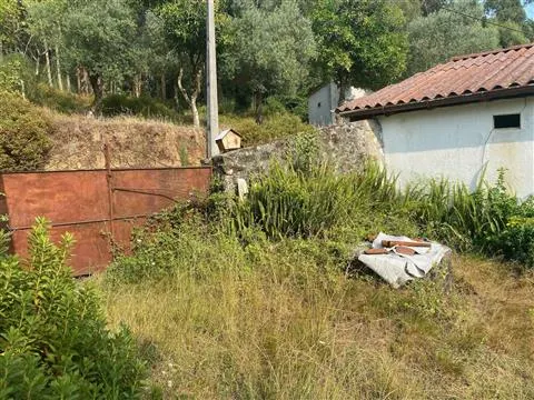 Casa bifamiliare T3 con giardino. Necessita di alcuni lavori