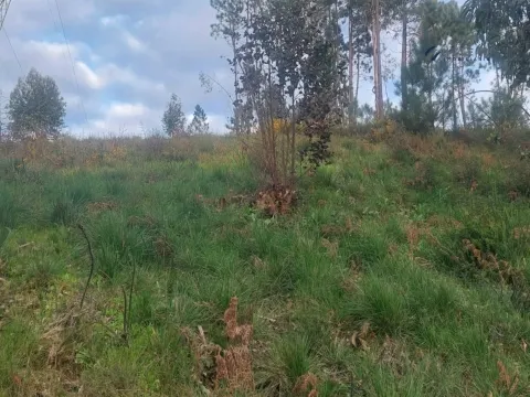 Terreno com 8967m2 para construção em Recarei.