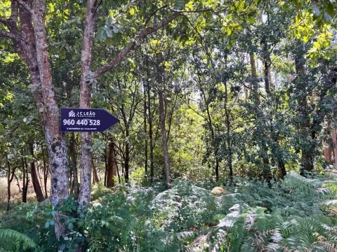 Terreno Rústico com 1430m2 em Lamoso, Paços de Ferreira