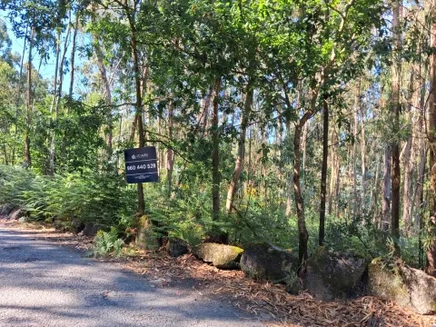 Real Estate building