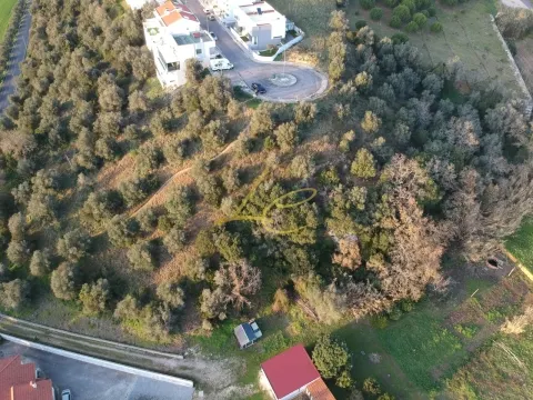 Terreno