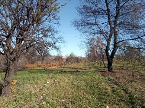 Ausgezeichnetes Grundstück mit 76840m2 in Aldeia das Águas, Penamacor.