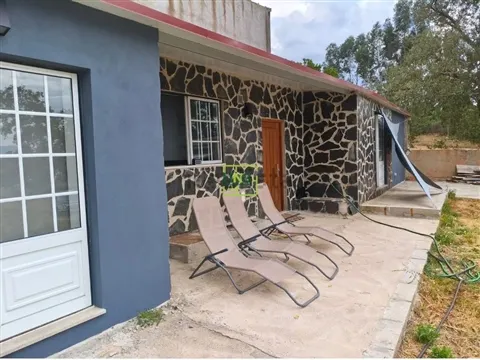 Quinta T1