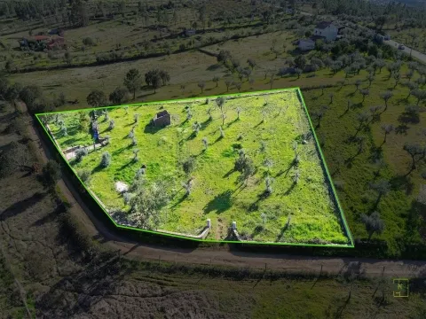 Quinta com Ruína e Água em Juncal do Campo | Castelo Branco