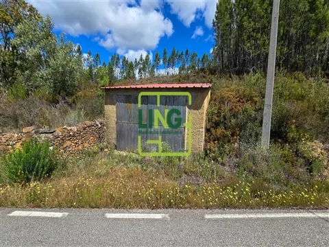 Quintinha T3