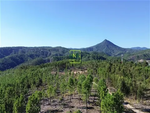Landgrundstück