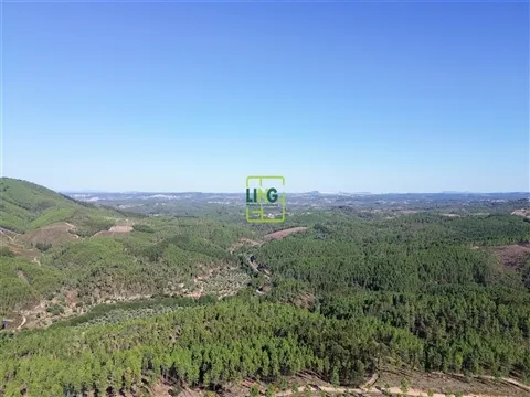 Landgrundstück