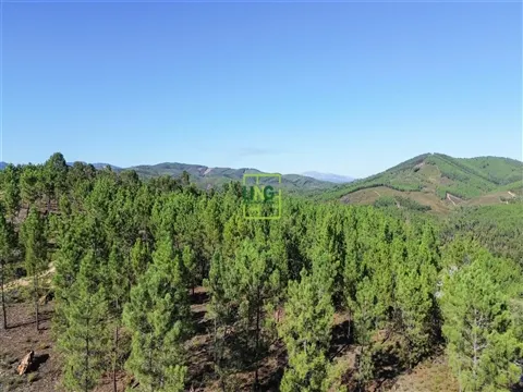 Terrain rural