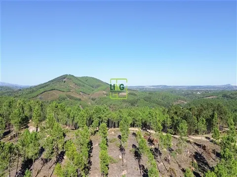 Terrain rural