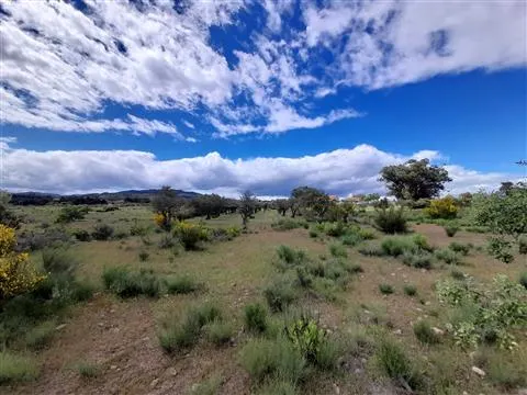 Farm 5200m2 - Quintas da Torre - Fundão - Portugal