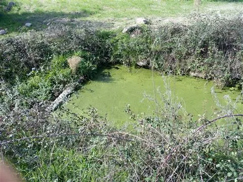 Landgrundstück 0 Schlafzimmer