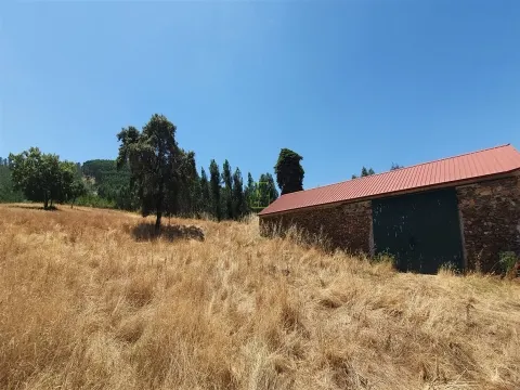 180-hectare Estate - Penamacor