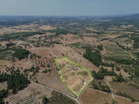 Fattoria / Cascina / Casale 2 Vani