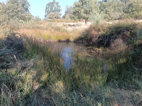 Rustikales Grundstück in Penamacor.