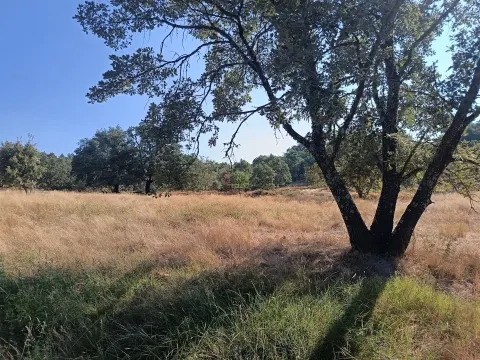 Rustikales Grundstück in Penamacor.