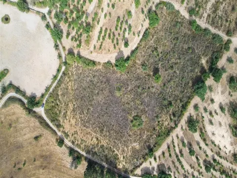 Terrain rustique à Penamacor