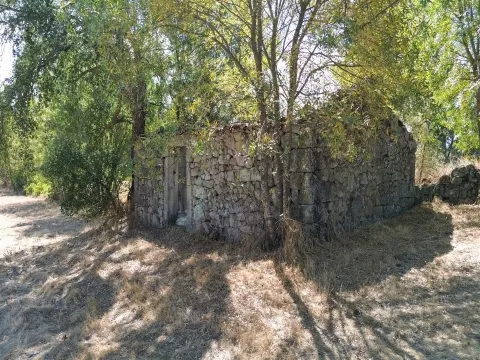 Ferme de 3 250 m² avec dépendance de 36 m² – à 10 minutes de Castelo Branco