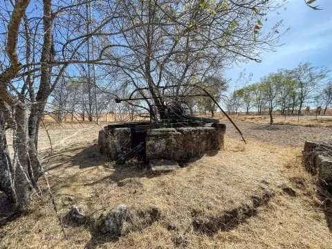 Terreno Rústico à Venda na Lardosa – 4750 m² com 4 Poços de Água