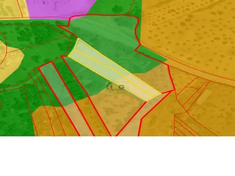 Terreno Rústico no Sobral do Campo 2080m2 – Oportunidade Única!