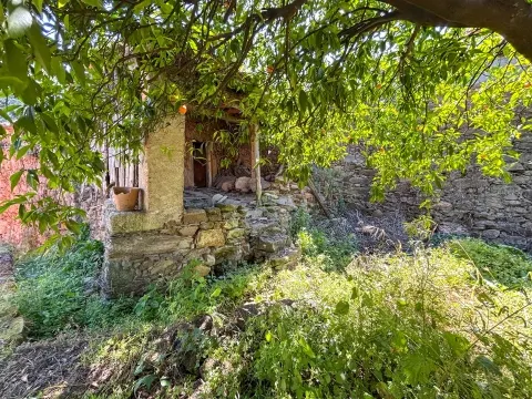 img_44