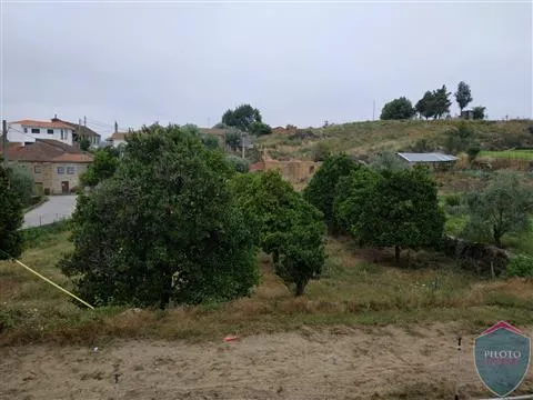 Detached house to restore