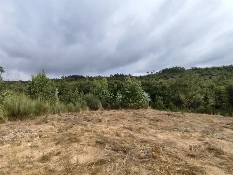 Quinta com 6ha em Penalva do Castelo