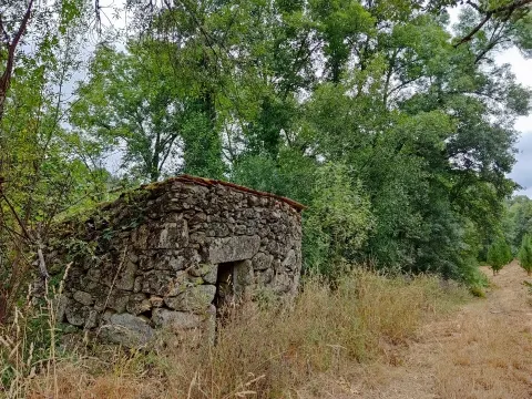 Quinta com 6ha em Penalva do Castelo