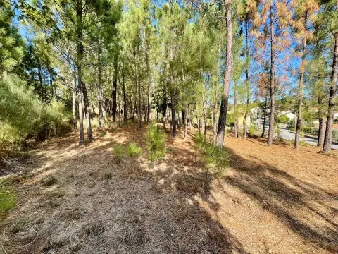 Terreno com viabilidade construtiva em Casal Diz, Penalva do Castelo