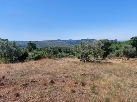 Quinta em Matela, Penalva do Castelo