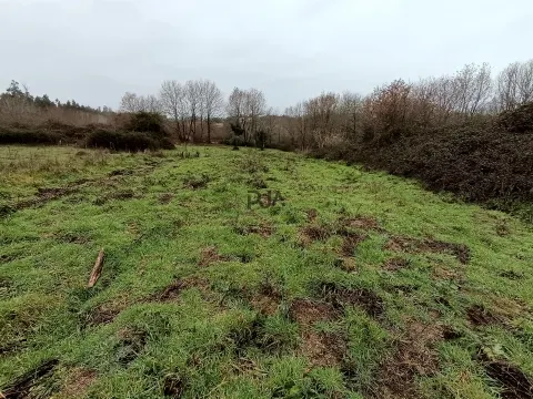 Moradia Devoluta em pedra em Casal Vidona, Santa Comba Dão