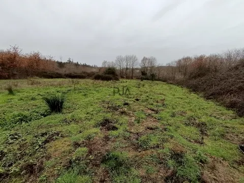 Moradia Devoluta em pedra em Casal Vidona, Santa Comba Dão