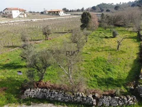 Terreno para construção em Fornos de Maceira Dão, Mangualde