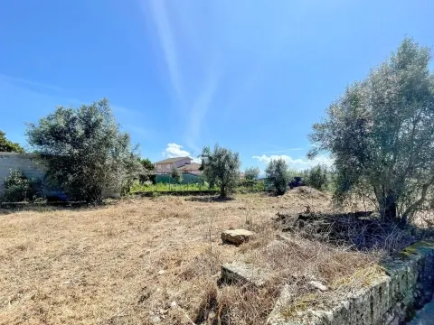 Lotissement de terrain