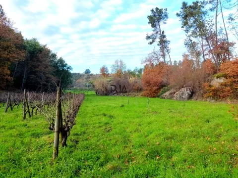 Terreno com viabilidade construtiva em Vila Corça