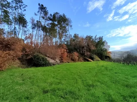 Terreno com viabilidade construtiva em Vila Corça