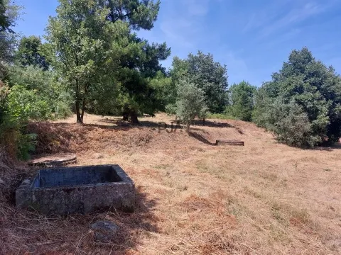 Terreno Rústico em Fornos de Algodres