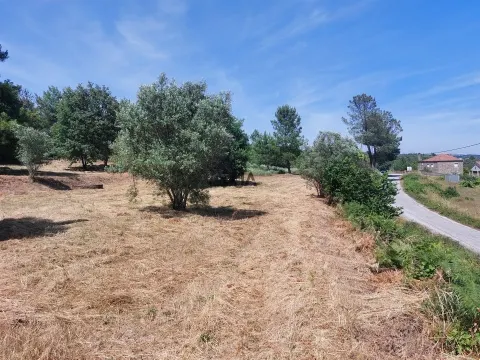 Terreno Rústico em Fornos de Algodres