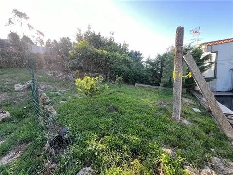 img_9