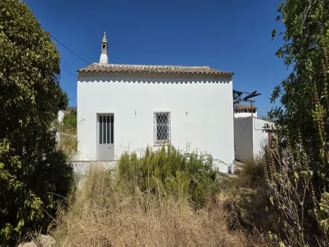 Загородный дом T2