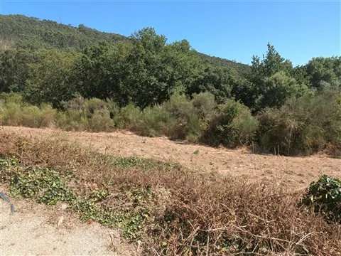 Terreno à Venda em Portela Susã | Viana do Castelo